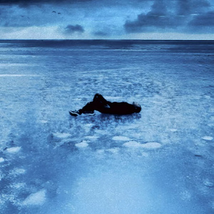 在线免费看片网站
