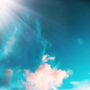 在线免费看片网站
