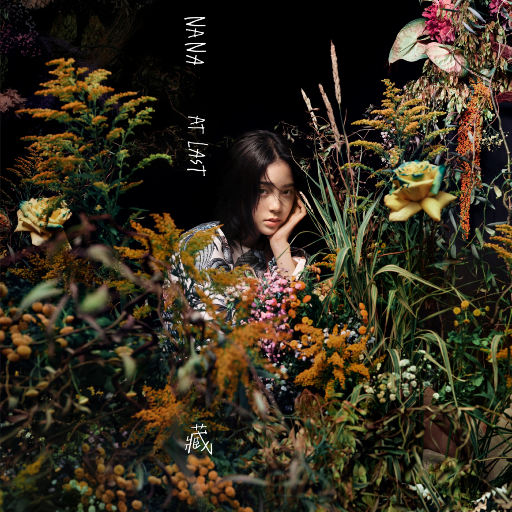 在线免费看片网站
